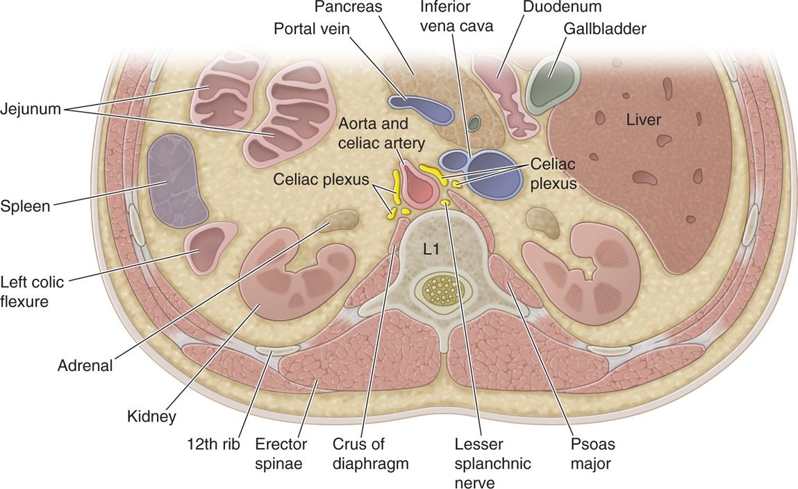 Celiac plexus block